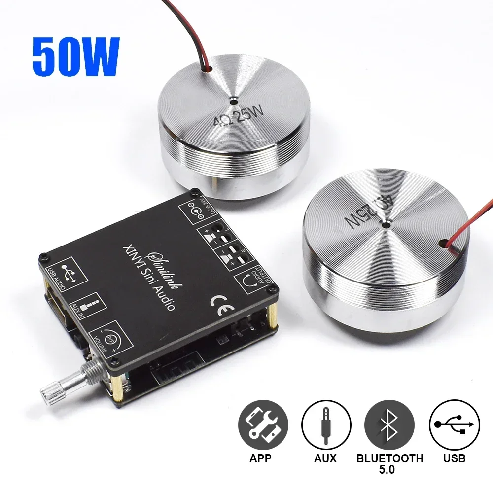 2*25W Portable Stereo Vibratio - đánh giá và giá Home Cinema Wireless